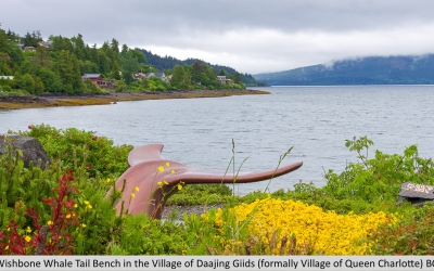 Wishbone Whale Tail Bench in the Village of Daajing Giids (formally Village of Queen Charlotte) BC